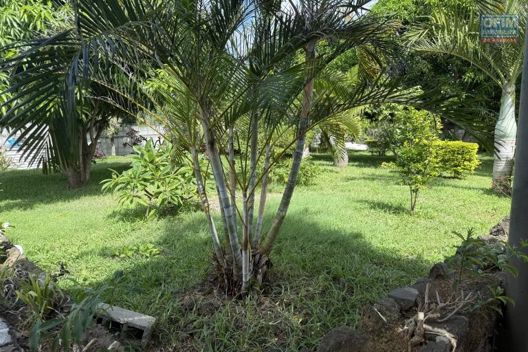 Luxury Villa for Rent in Petit Raffray - A Haven of Peace in the Heart of Nature (Car Recommended)