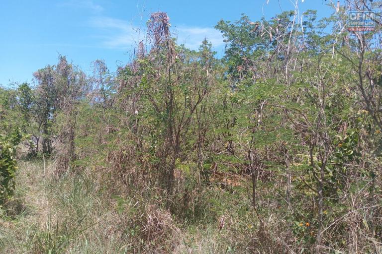 Large residential plot for sale – Calodyne – 2,600 m² (685 toises)