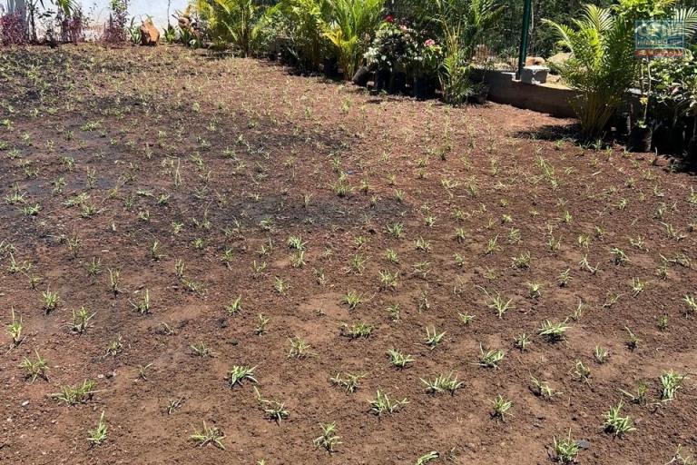 Flic en Flac &ndash; Contemporary villa with swimming pool