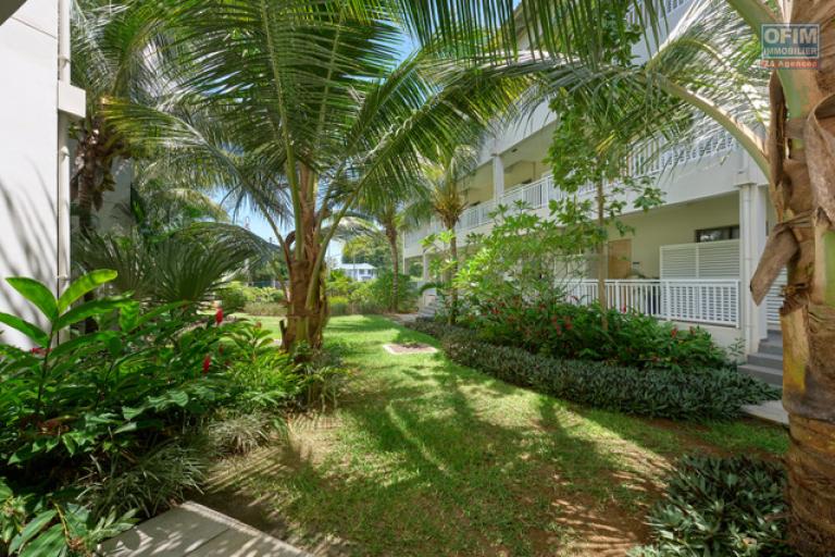 Accessible to foreigners Apartment GRAND BAIE - PEREYBERE - POINTE AUX CANONNIERS – photo 14 of 15 – Landscaped garden