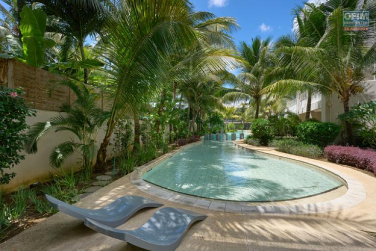 Accessible to foreigners Apartment GRAND BAIE - PEREYBERE - POINTE AUX CANONNIERS – photo 12 of 15 – Swimming pool