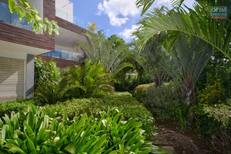 Accessible to foreigners Apartment GRAND BAIE - PEREYBERE - POINTE AUX CANONNIERS – photo 13 of 14 – Landscaped garden