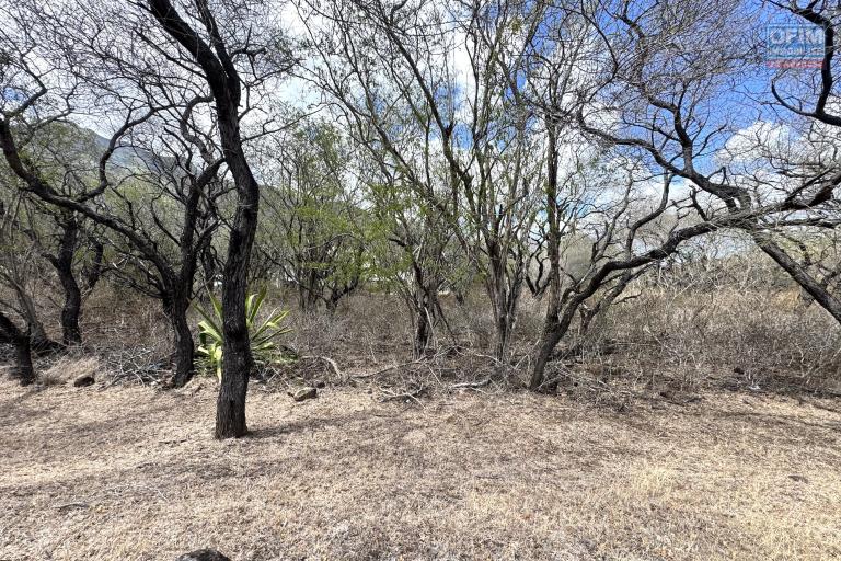 Sale Land TAMARIN - RIVIERE NOIRE - MORNE – photo 2 of 2 – Land