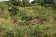 For sale beautiful residential land of 2110 m2 in Vale.