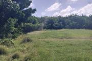 For sale land with an area of 8.26 arpents very well located on Grand Gaube.