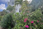 “Opportunity not to be missed, right in the center of GRAN BAIE.