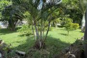 Luxury Villa for Rent in Petit Raffray - A Haven of Peace in the Heart of Nature (Car Recommended)