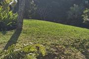 Exceptional Villa - Oasis of Luxury and Unique Design in Grand Baie (70,000,000 RS)