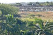 For sale – Character villa with sea and mountain views in Tamarin