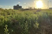 🏡 FOR SALE – EXCEPTIONAL 53-PERCH PLOT OF LAND IN MONT MASCAL