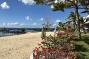 🌴 BEACHFRONT VILLA IN TROU AUX BICHES