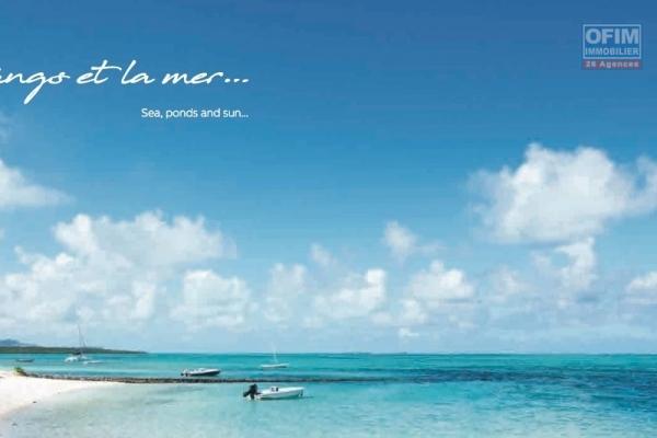 Pointe d'Esny for sale project PDS accessible to foreigners with swimming pool, in an idyllic natural setting near the most beautiful lagoon of the island.