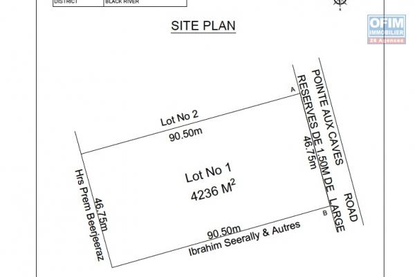 Albion for sale land of 4236M2 or 1115 toises or 100perches located in Pointe aux caves Albion.