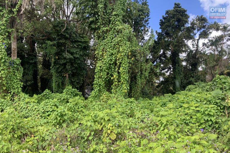  Curepipe  à vendre terrain de 660 toises ou 2508M2  route du jardin non loin du supermarché Intermart au calme.