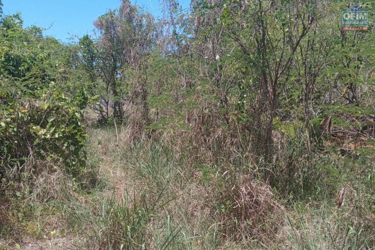 Grand terrain résidentiel à vendre – Calodyne – 2 600 m² (685 toises)