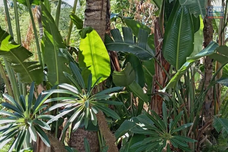 Duplex d&rsquo;exception 120 m&sup2; avec jardin paysager de 170 m&sup2; &agrave; The Vale&ndash; Bien rare et atypique