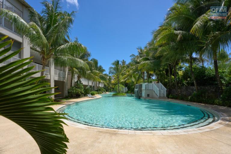 Accessible aux étrangers Appartement GRAND BAIE - PEREYBERE - POINTE AUX CANONNIERS – photo 13 sur 15 – Piscine