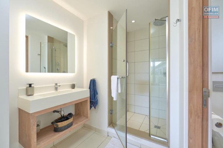 Accessible aux étrangers Appartement GRAND BAIE - PEREYBERE - POINTE AUX CANONNIERS – photo 8 sur 15 – Salle d'eau