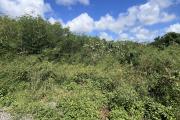 À VENDRE : GRAND TERRAIN CONSTRUCTIBLE - CAP MALHEUREUX