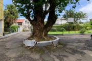 Curepipe à louer agréable appartement deux chambres dans une petite copropriété au calme proche des commerces et du centre.
