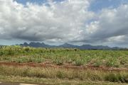 A VENDRE terrain r&eacute;sidentiel 304 m2 (7,25 perches), Pointe aux Piments