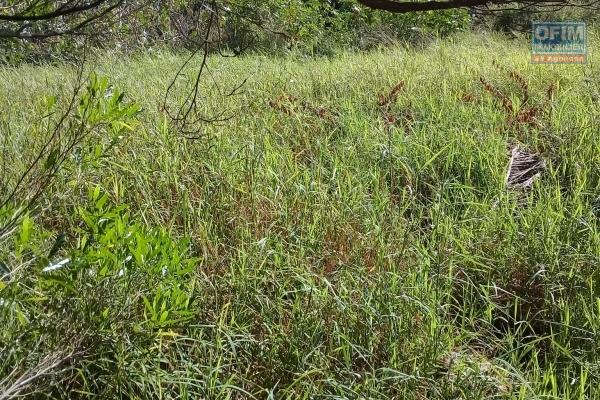 A vendre beau terrain de 575 toises en première position sur la route 20 pieds à Pereybère.