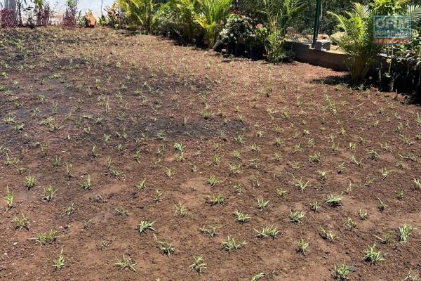 Flic en Flac &ndash; Contemporary villa with swimming pool